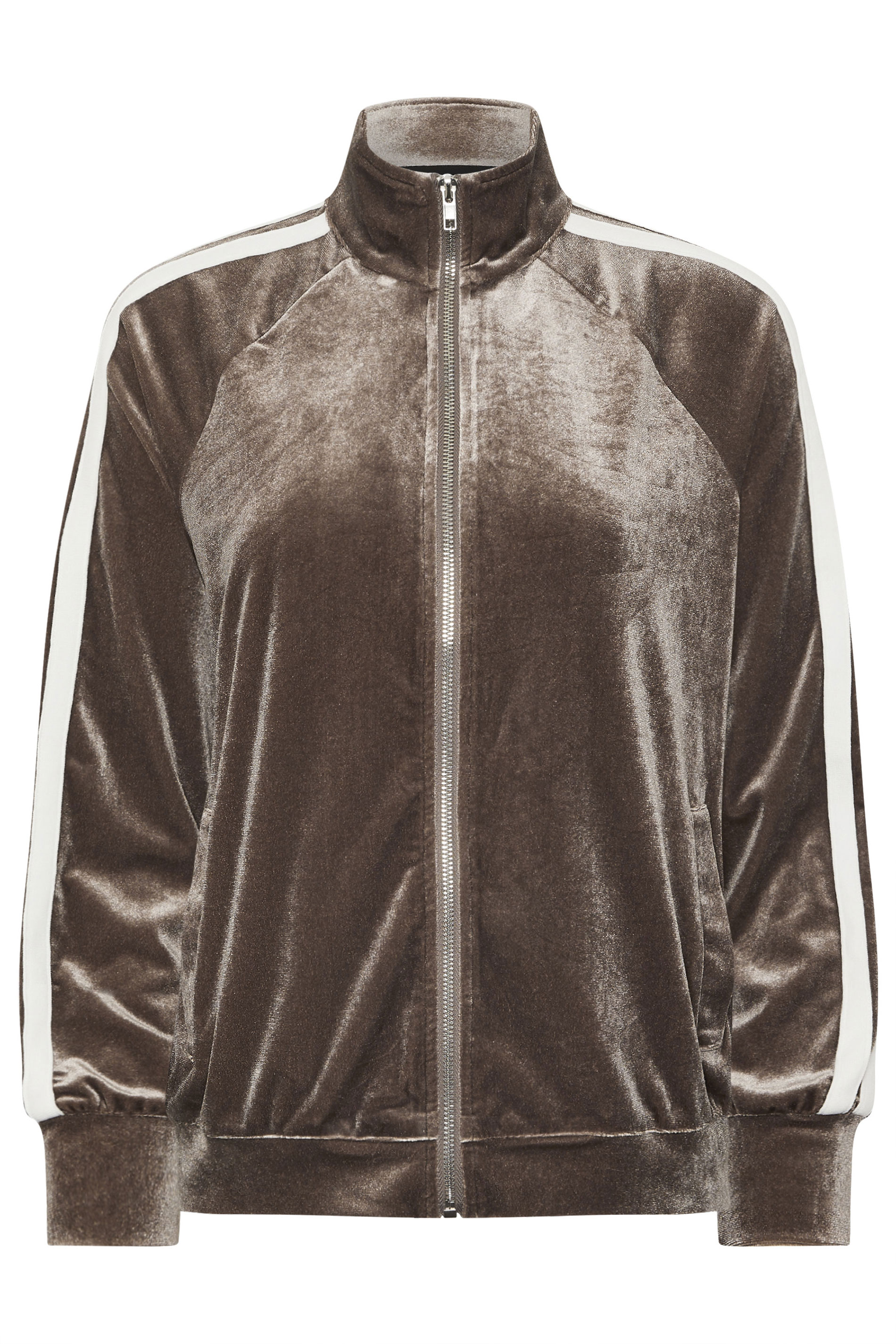 PixieGirl Petite Women's Brown Side Stripe Velvet Jacket | PixieGirl 6