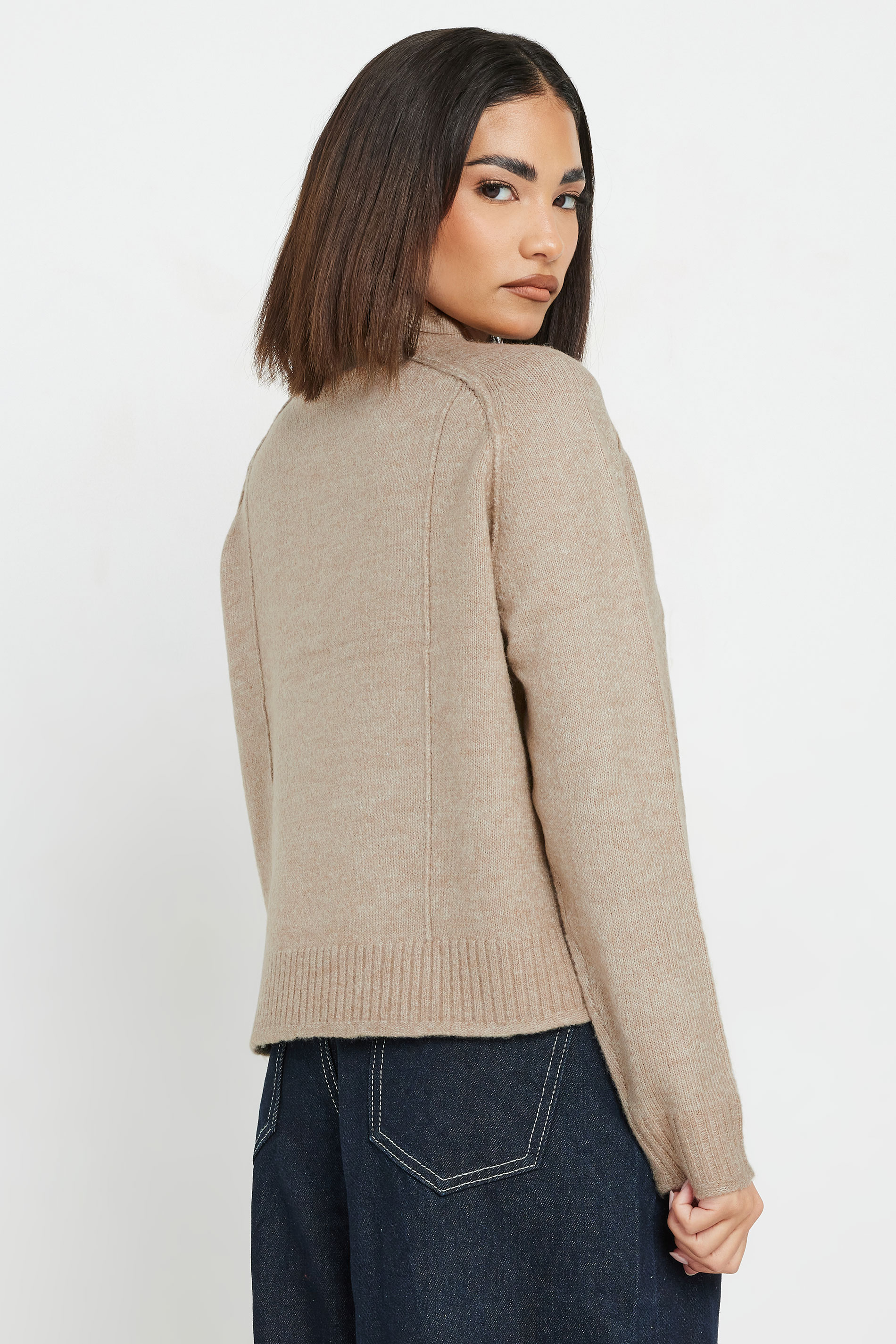 PixieGirl Petite Women's Natural Brown Seam Detail Jumper | PixieGirl 3