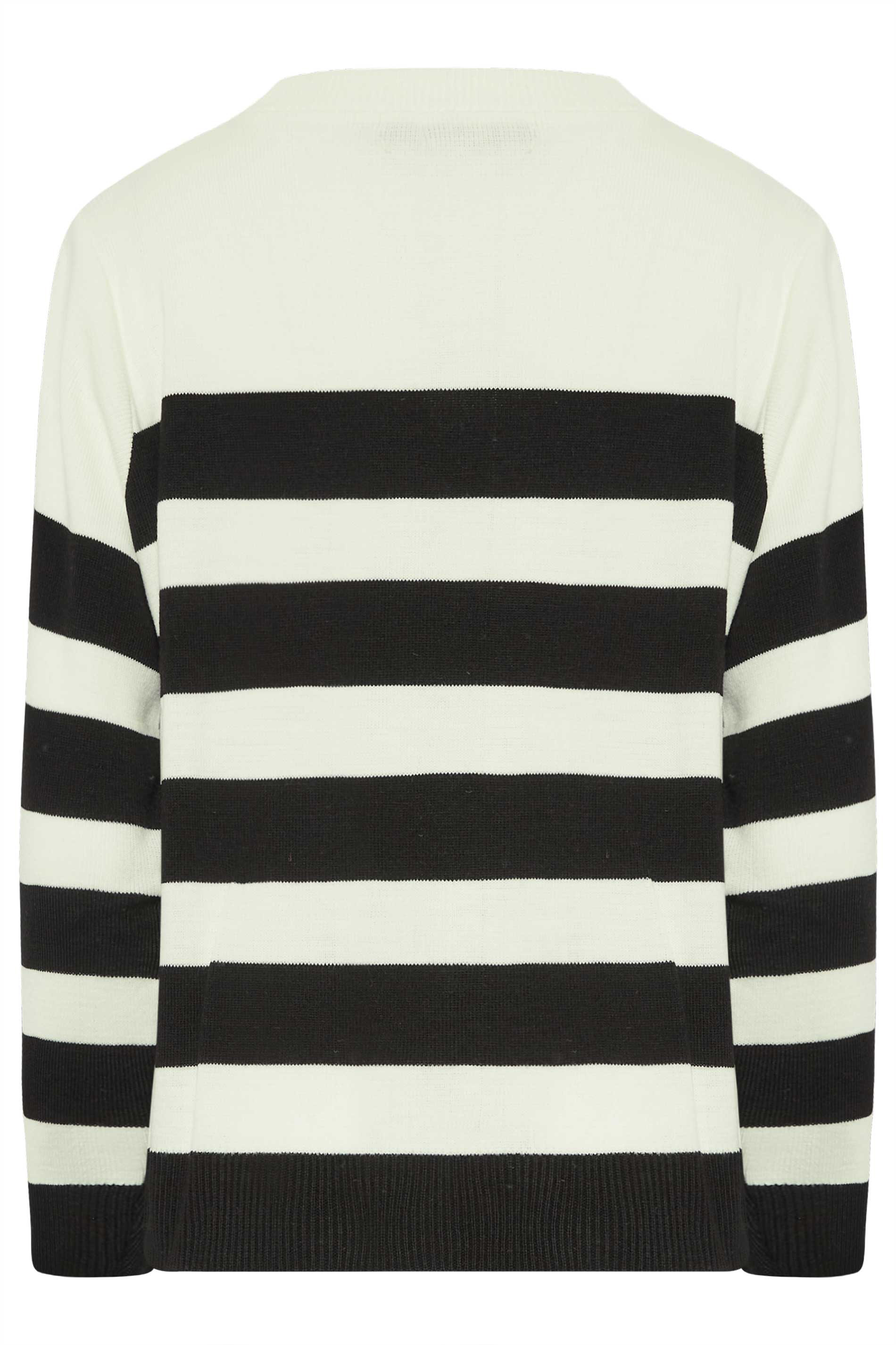 Petite White & Black Striped Funnel Neck Jumper | PixieGirl  7
