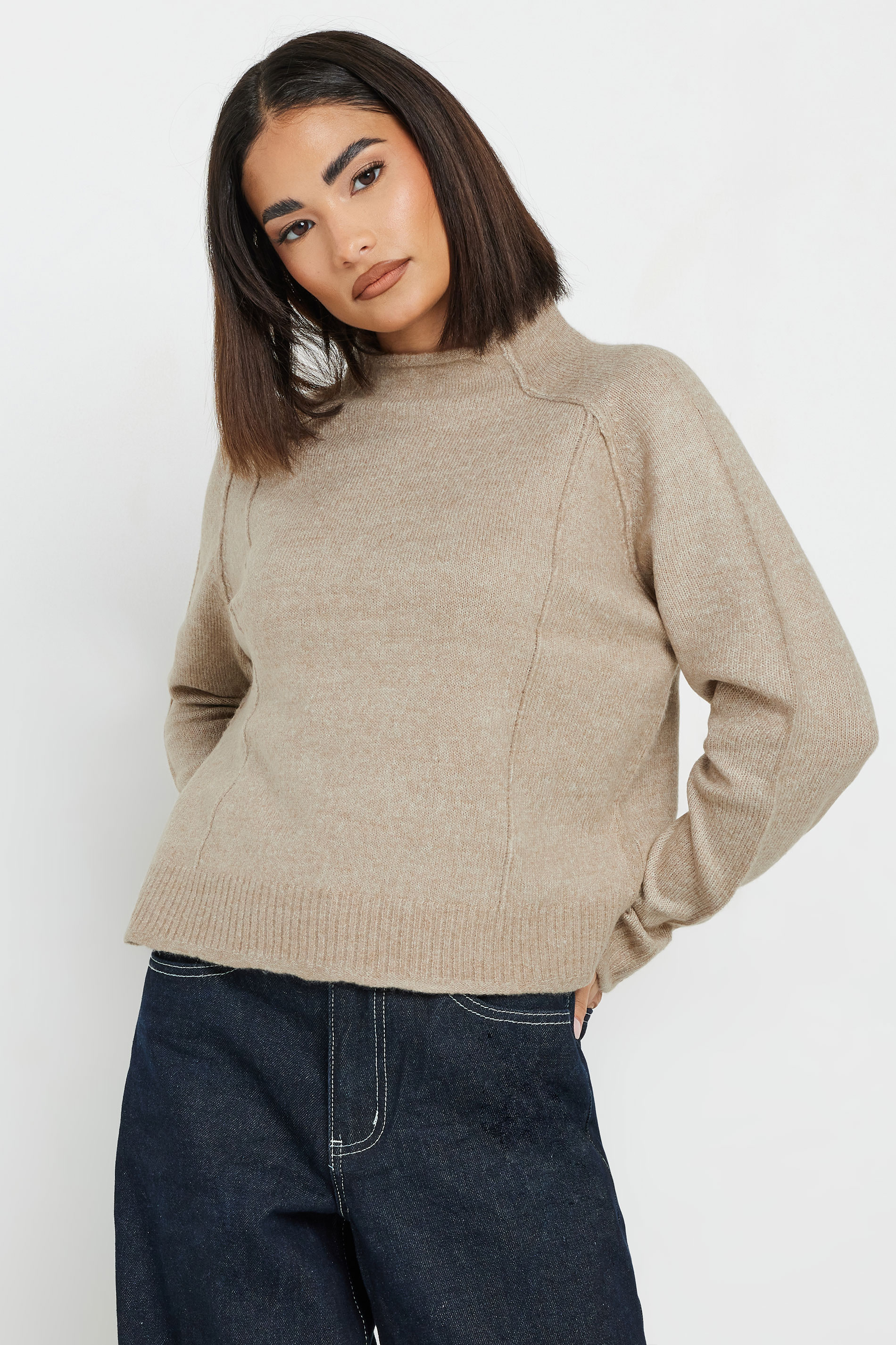 PixieGirl Petite Women's Natural Brown Seam Detail Jumper | PixieGirl 1