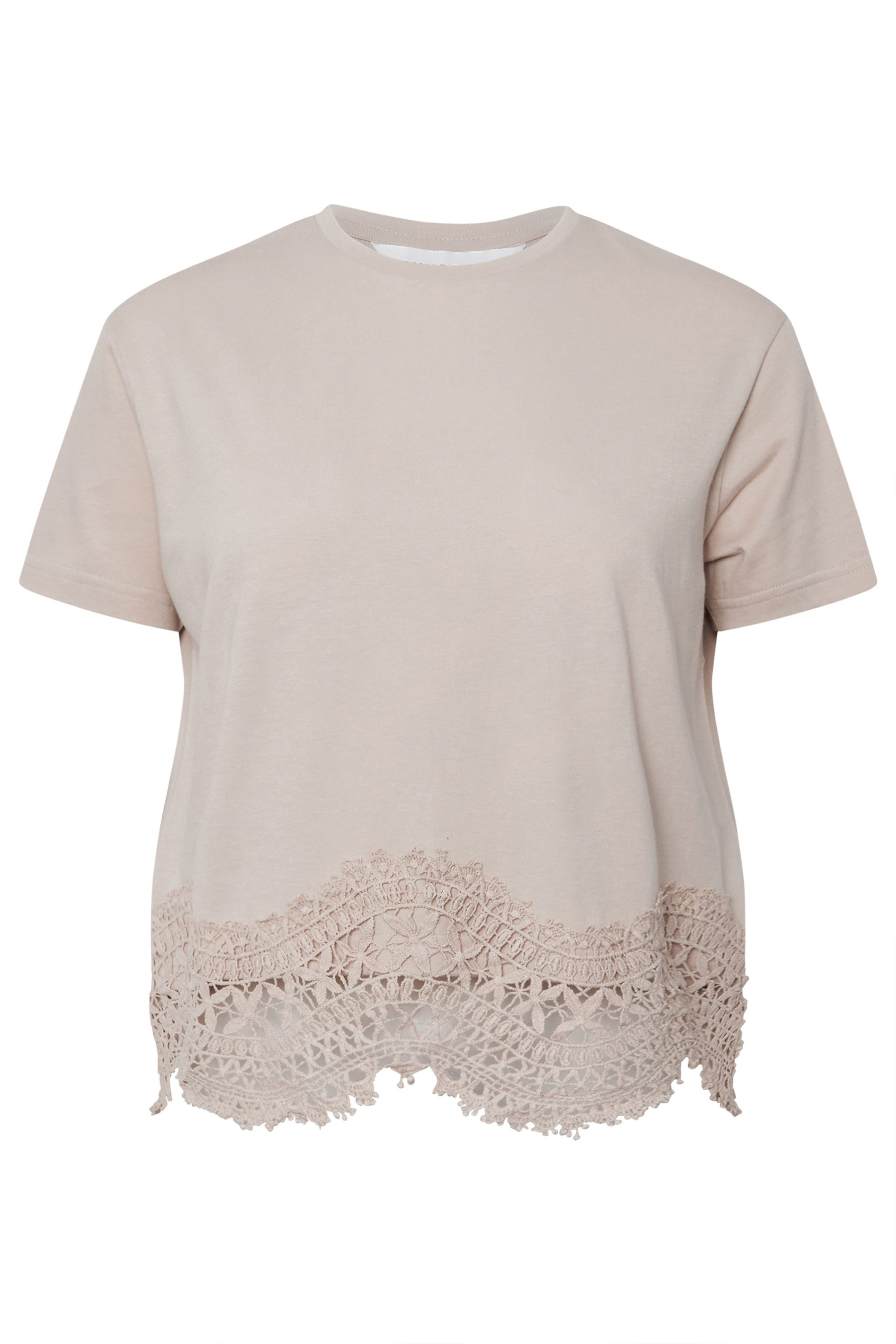 PixieGirl Petite Women's Stone Brown Crochet Hemline T-Shirt | PixieGirl 7