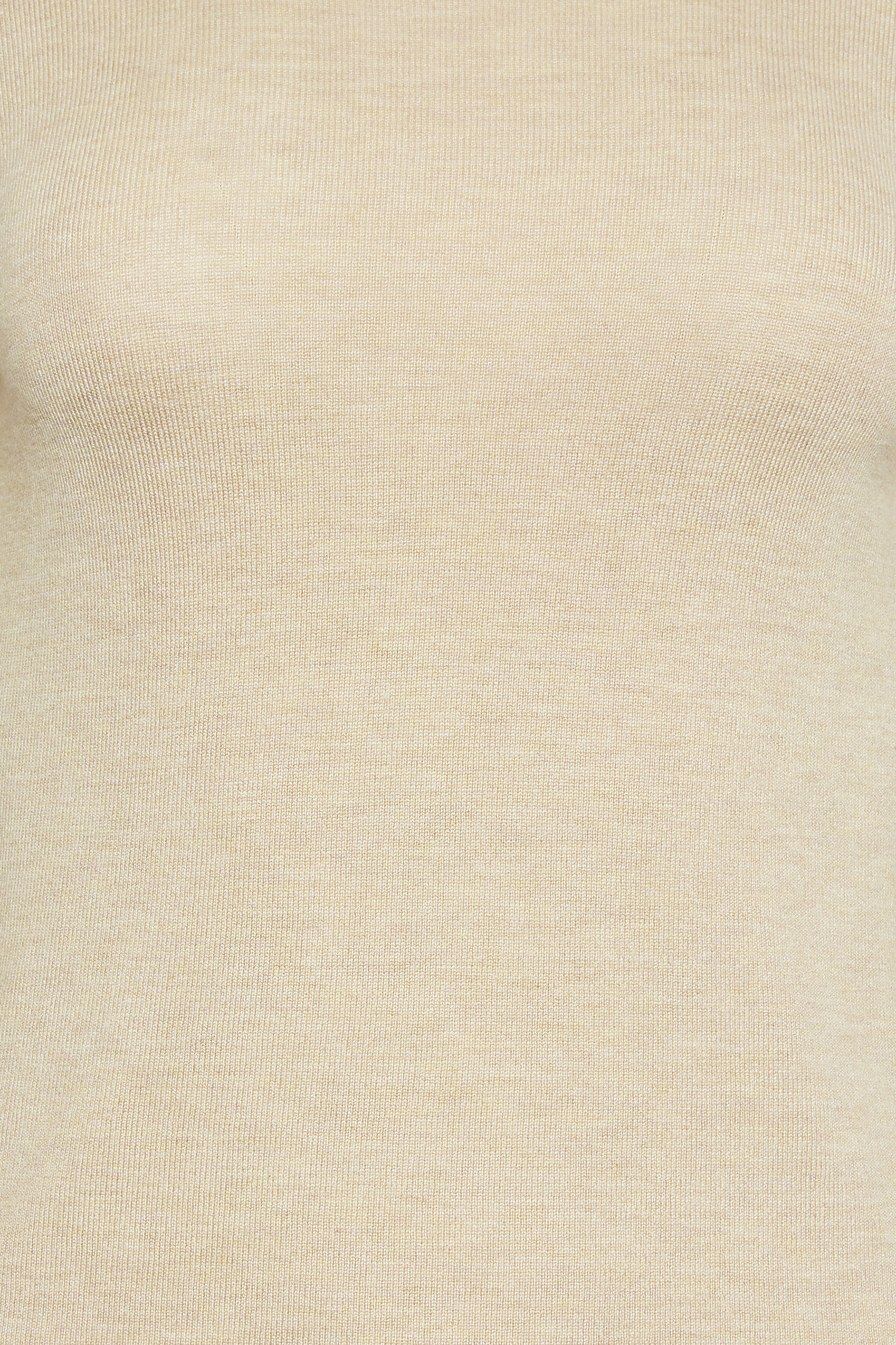 PixieGirl Petite Cream Long Sleeve Turtle Neck Top | PixieGirl 5