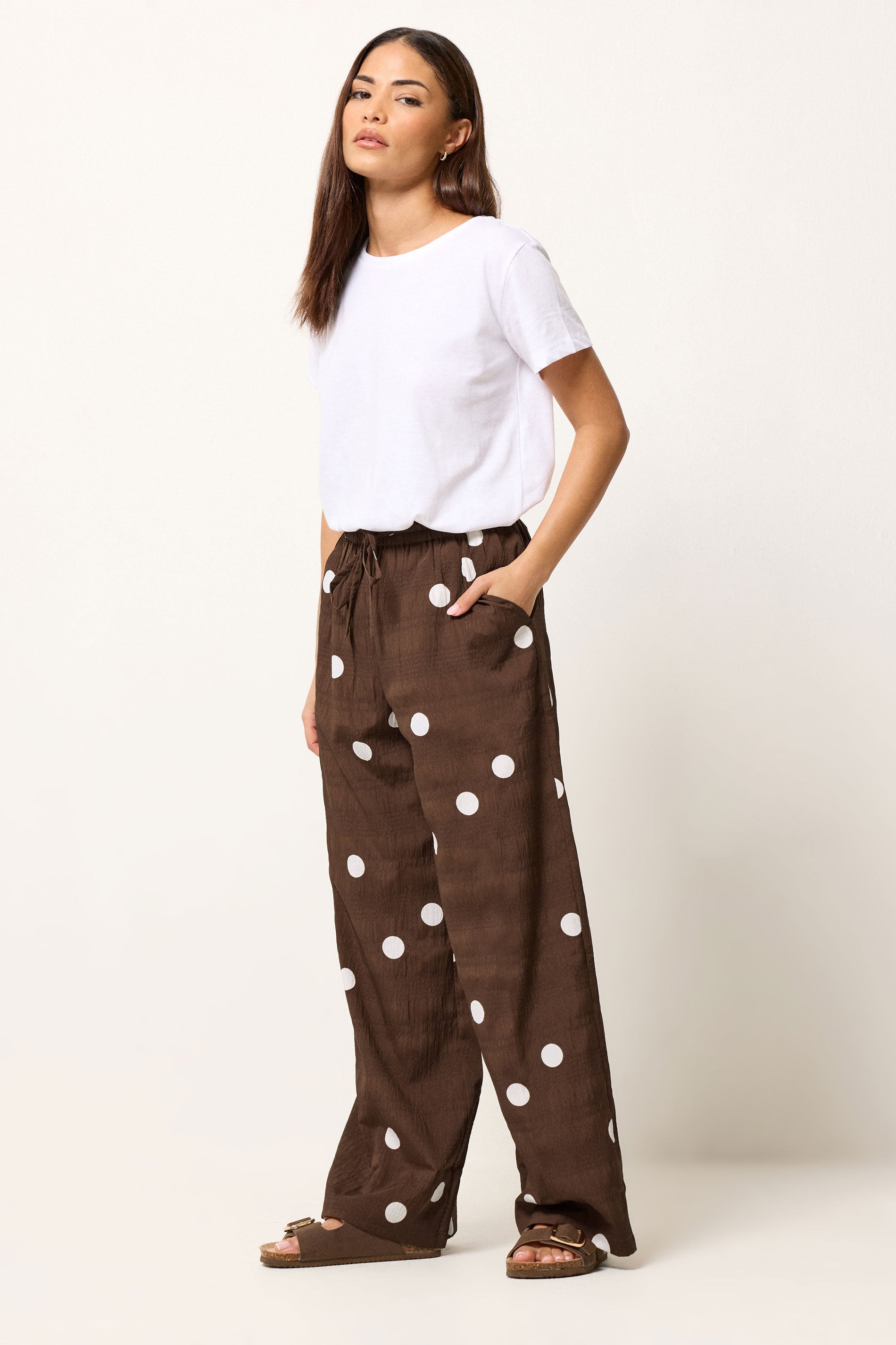 PixieGirl Petite Women's Chocolate Brown Polka Dot Wide Leg Trousers | PixieGirl  1