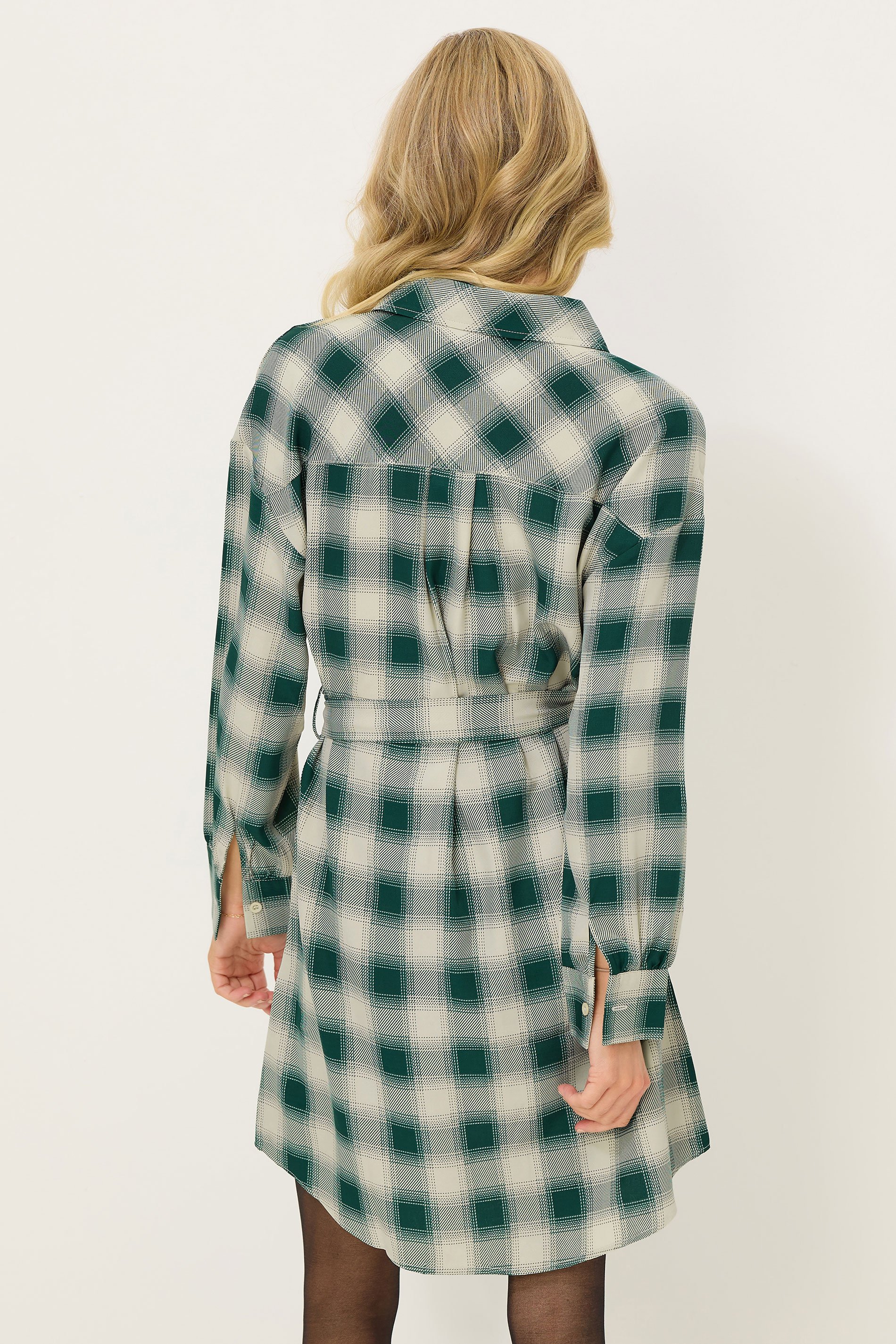 PixieGirl Petite Women's Green Check Print Shirt Dress | PixieGirl 3
