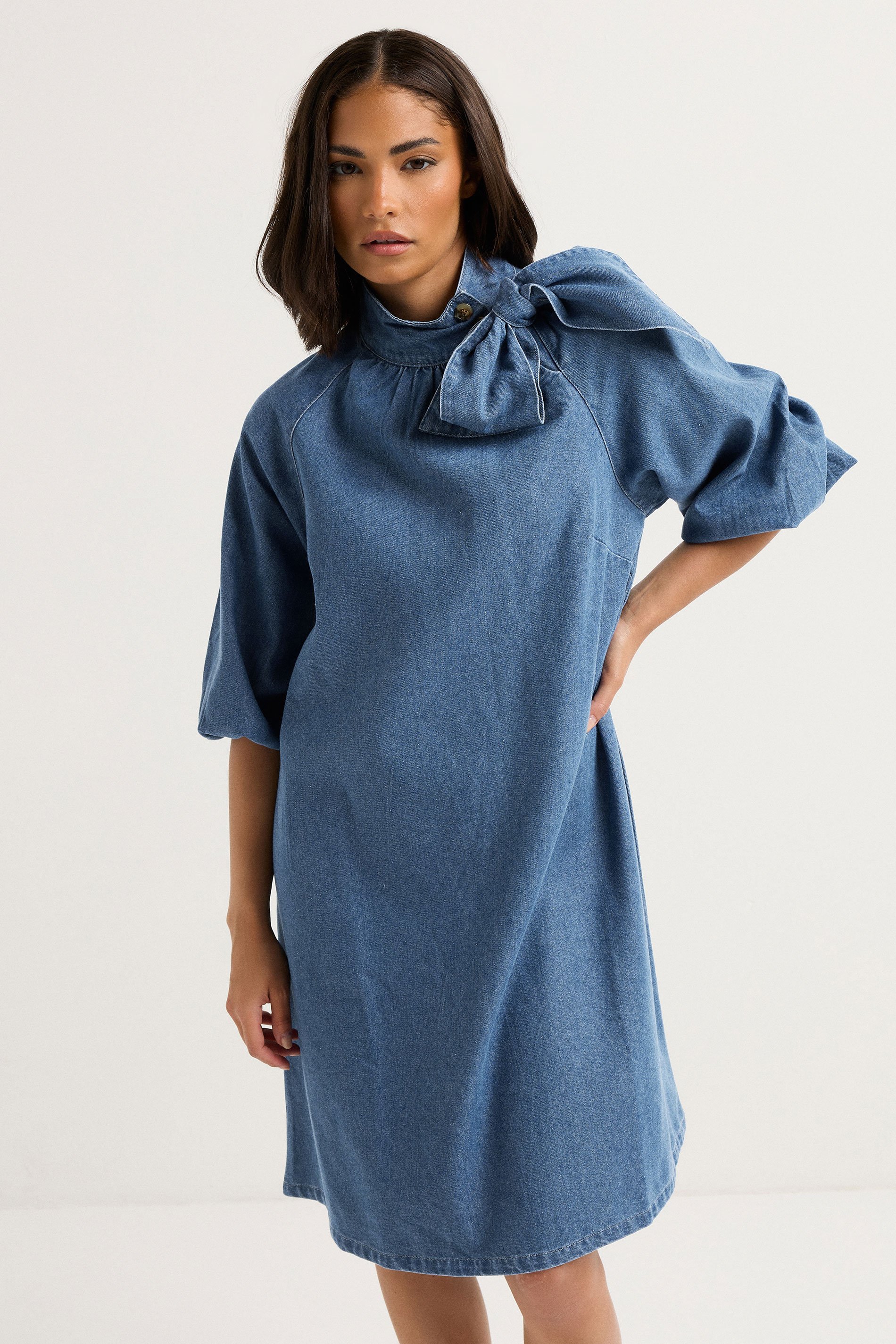 PixieGirl Petite Women's Blue Denim Tie Neck Dress | PixieGirl 2