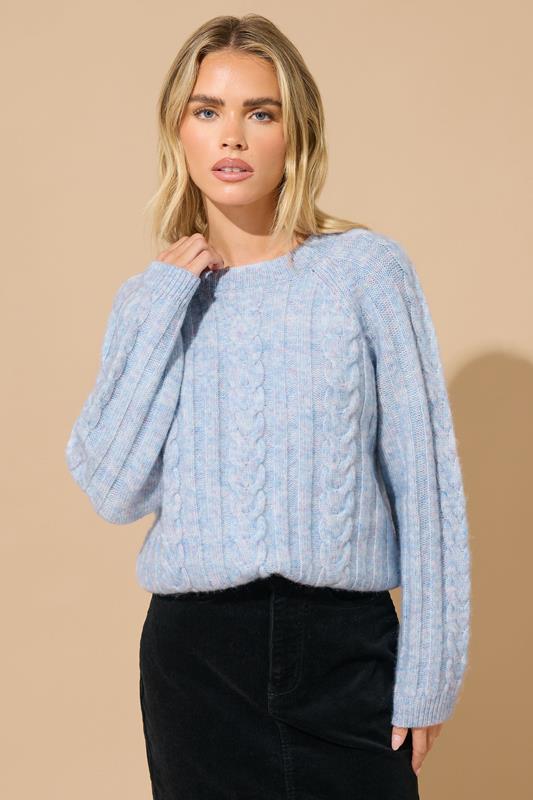 M&Co Petite Blue Cable Knitted Jumper
