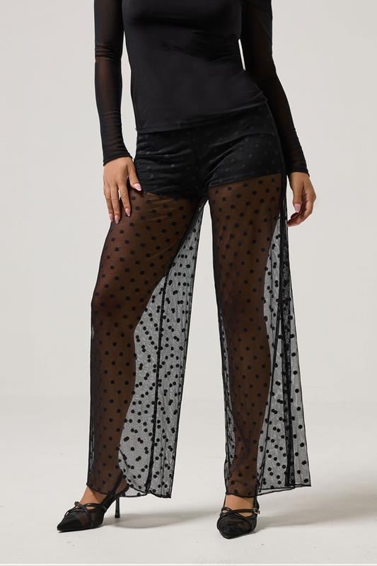PixieGirl Petite Women's Black Spot Mesh Trousers | PixieGirl 2