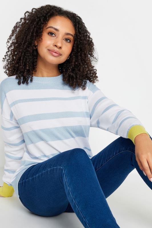 M&Co Petite Blue & Grey Striped Jumper