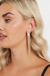 Gold Tone Tassel Earrings | Yours Clothing 1