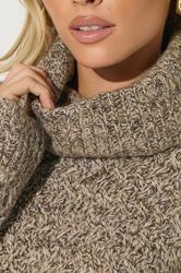 PixieGirl Petite Women's Beige Brown Chunky Roll Neck Jumper | PixieGirl 4