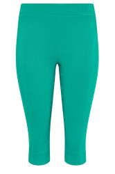 M&Co Petite Green Cropped Bengaline Trousers | M&Co 4