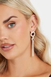 Gold Tone Diamante Drop Tassel Earrings | Yours Clothing 1