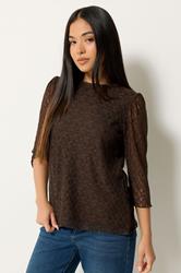 M&Co Petite Chocolate Brown Lace Top | M&Co 3