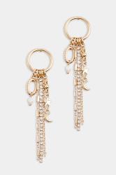 Gold Tone Diamante Tassel Earrings | Yours Clothing 2