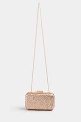 Champagne Gold Sequin Clutch Bag | Yours Clothing 2