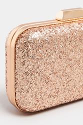 Champagne Gold Sequin Clutch Bag | Yours Clothing 3