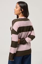 PixieGirl Petite Women's Pink & Brown Stripe Knit Jumper | PixieGirl 3