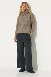 PixieGirl Petite Women's Beige Brown Chunky Roll Neck Jumper | PixieGirl 2