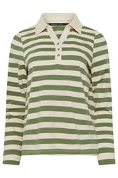 M&Co Petite Green & White Stripe Cotton Polo Shirt