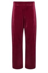 PixieGirl Petite Women's Burgundy Red Velour Wide Leg Trousers | PixieGirl 5
