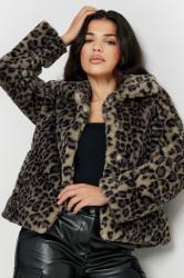 PixieGirl Petite Women's Brown Leopard Print Faux Fur Coat | PixieGirl 2