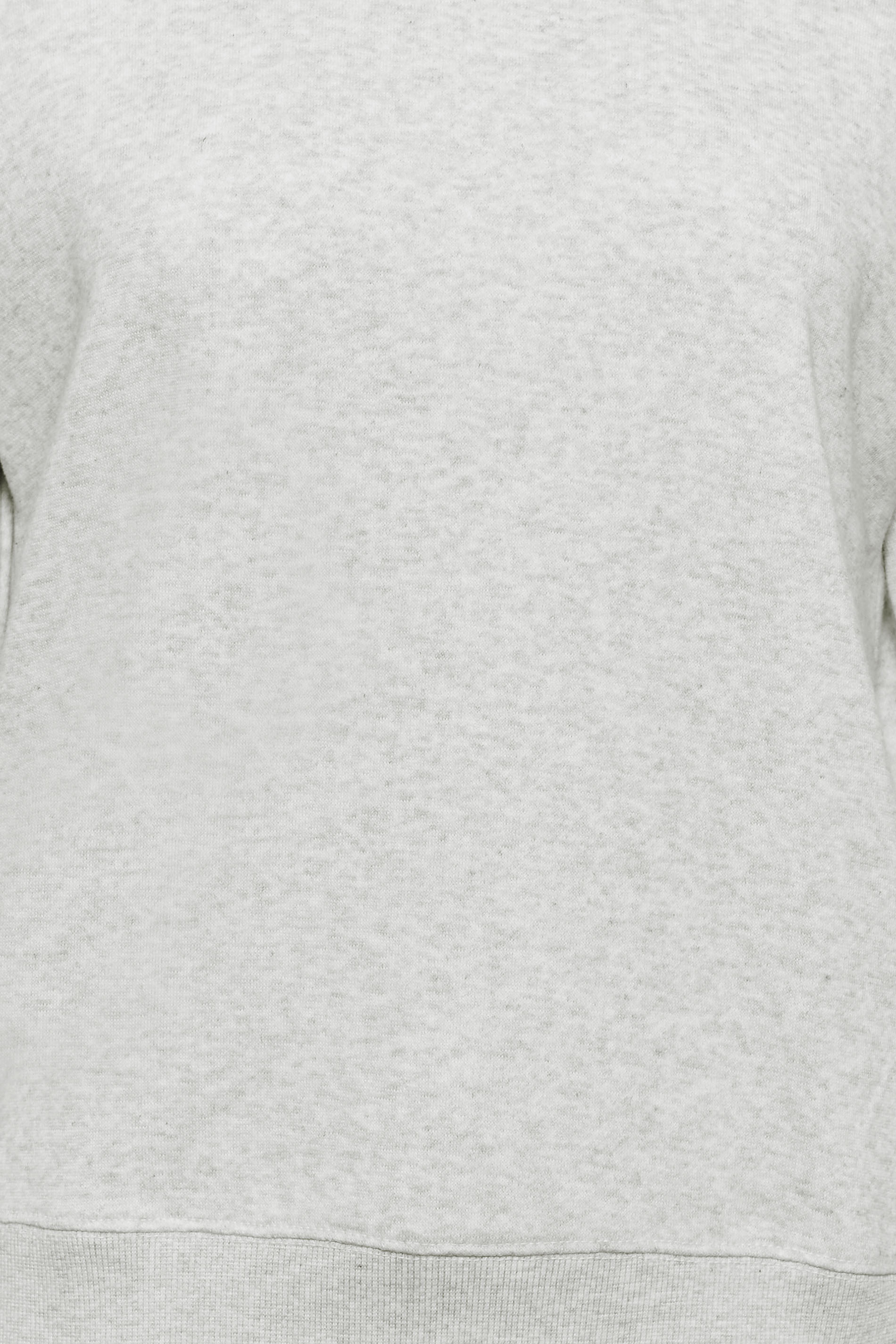 Petite Grey Crew Neck Sweatshirt | PixieGirl 5