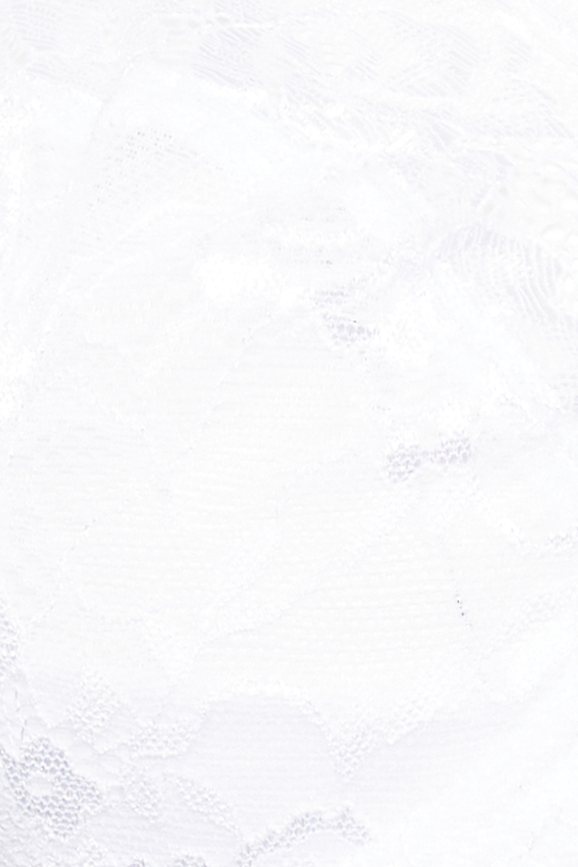 M&Co White Lace Non-Padded Floral Bra | M&Co  5