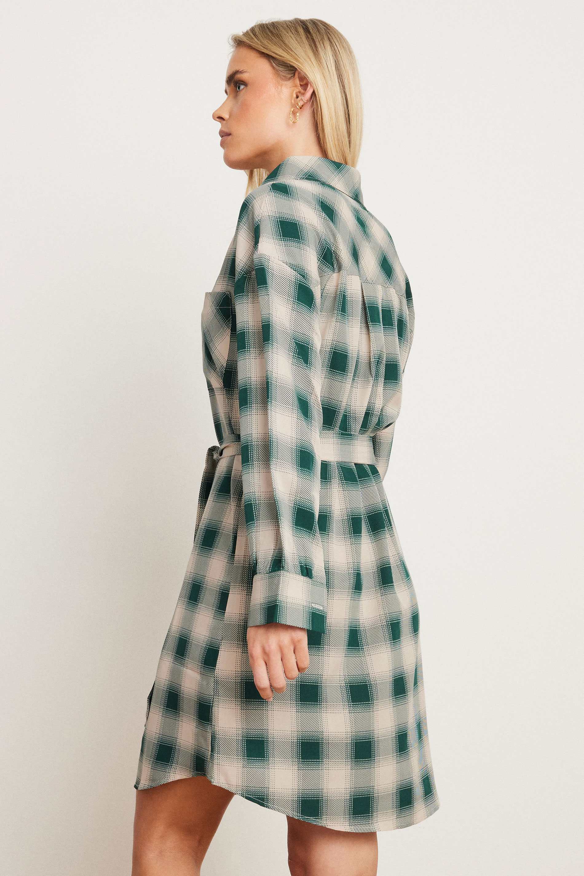 PixieGirl Petite Women's Green Check Print Shirt Dress
