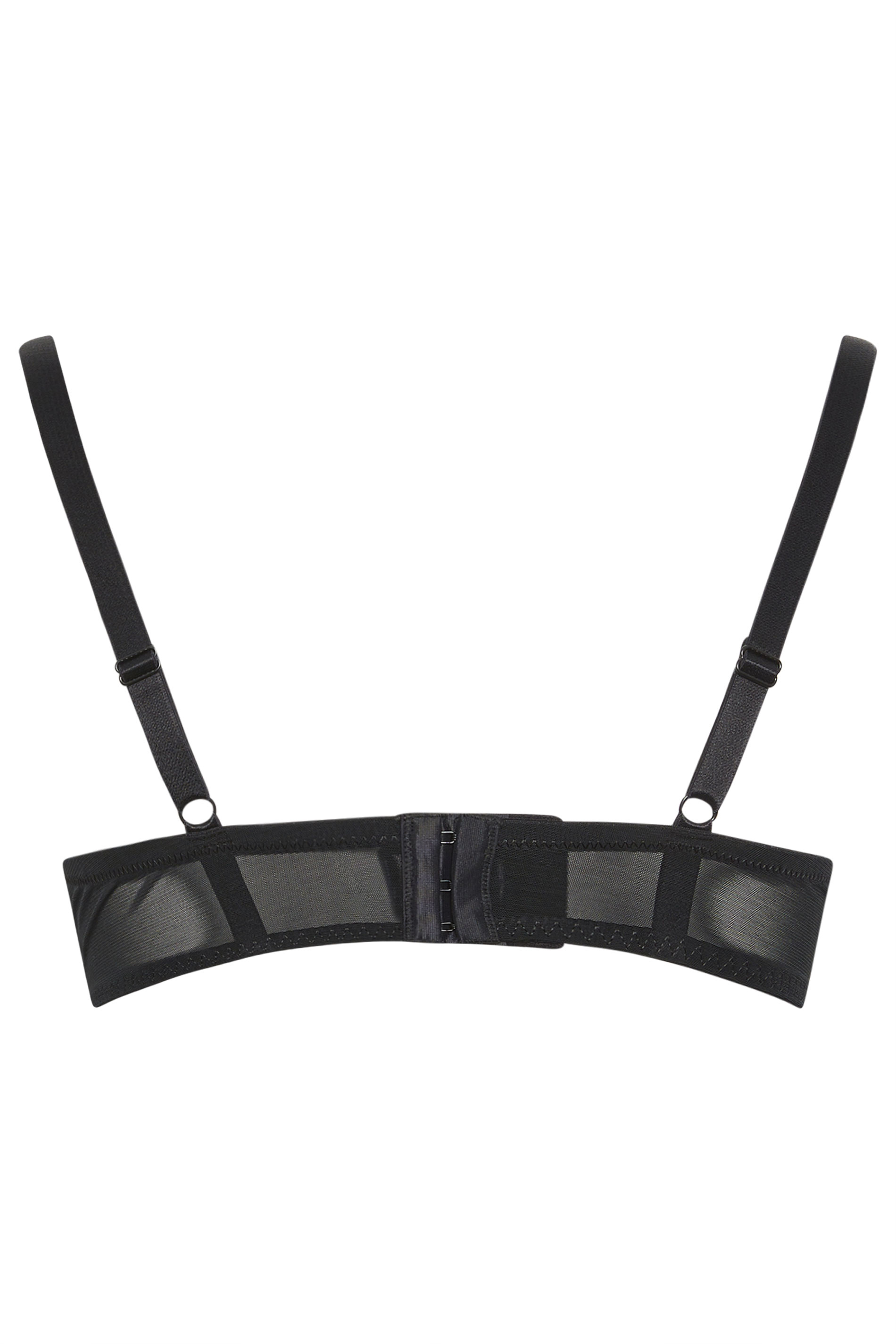 M&Co Black Lace Padded T-Shirt Bra | M&Co  6